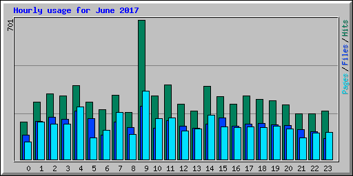 Hourly usage for June 2017